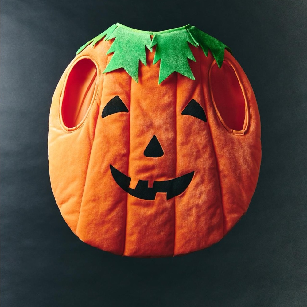 ZARA PUMPKIN COSTUME
